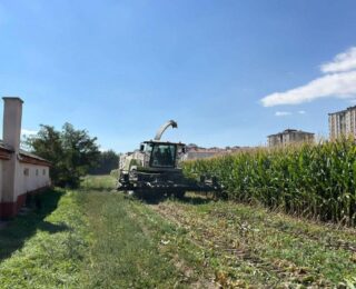 Yerli ve milli 10 patates çeşidi için program tamamlandı!