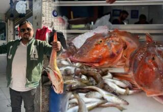 Kilosu 350 liradan satışta! Kırlangıç balığına halk yoğun ilgi! Kırlangıç balığı faydaları