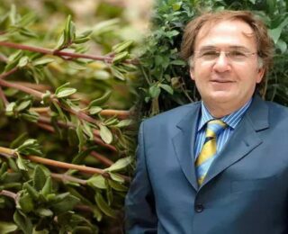 Prof. Dr. İbrahim Saraçoğlu’ndan sigarayı bıraktıran kekik kürü!