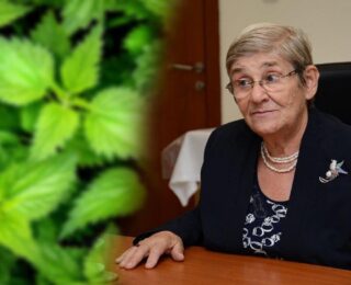 Canan Karatay’dan kandaki zehri temizleyen ısırgan otu çayı önerisi!