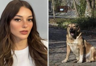 Dilan Çiçek Deniz başıboş köpeklerin saldırısına uğradı! Hastanelik oldu