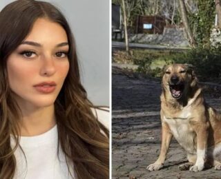 Dilan Çiçek Deniz başıboş köpeklerin saldırısına uğradı! Hastanelik oldu