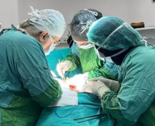 Mersin’de doktorları bile şaşkına uğratan olay:  Tam 1 kilo, hepsi midesinden çıktı!