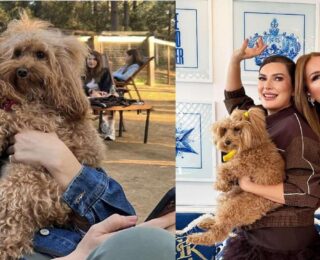 Mirasımı köpeğime bırakacağım demişti! Pınar Soykan’dan şoke eden açıklama geldi